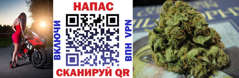 Бошки марихуана OG Kush  магазин продажи наркотиков  Отрадная 